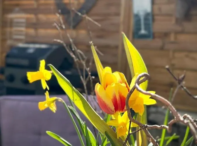 Christina Apartment *