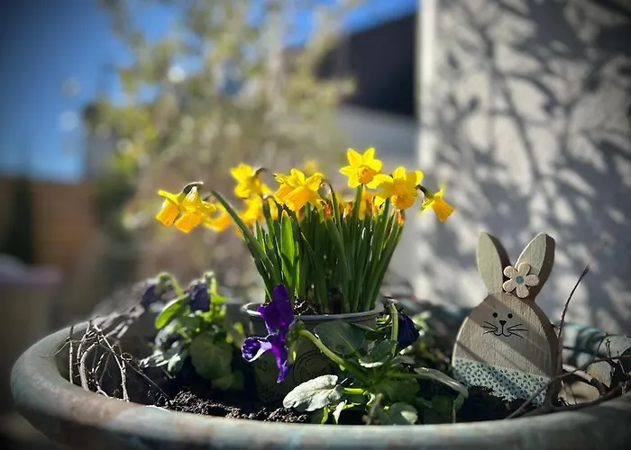 アパート Christina トラーベン・トラールバッハ